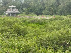 -北海金海湾红树林生态旅游区