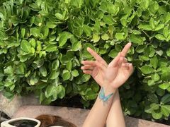 -国御温泉度假小镇