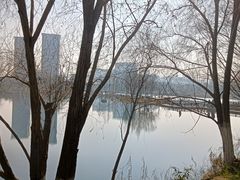 -洋湖国家湿地公园
