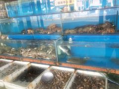 -老码头海鲜烧烤炒菜(广西路店)