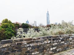 -南京城墙景区