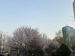 -裕龙汤泉