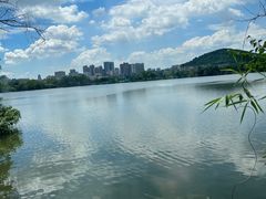 -东湖食堂·湖景餐厅•会议