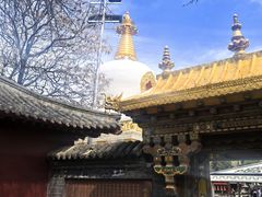 -护国法轮寺