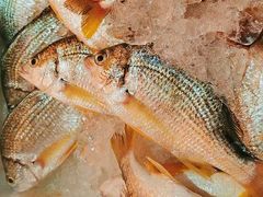 -胜海大排档·海鲜·黄鳝饭(十年老店)