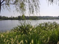 -东郊湿地公园