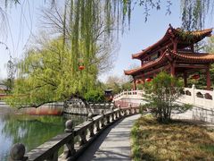 -百脉泉景区