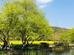 -八卦田遗址公园