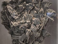 -长江文明馆