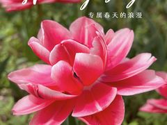 -国家植物园