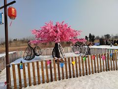 -绿野森林乐园冰雪季