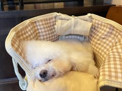 -三川coffee(南头古城店)