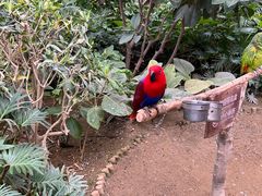 -南宫五洲植物乐园