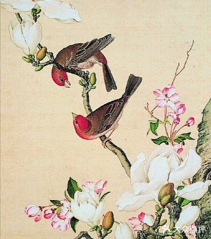 栩栩如生的花鸟图，简直是太漂亮了❗❗