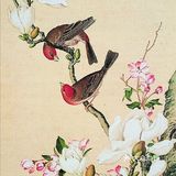 栩栩如生的花鸟图，简直是太漂亮了❗❗