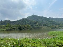 -风云岭森林公园