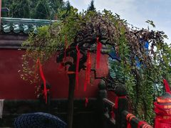 -武当山风景区-太子坡