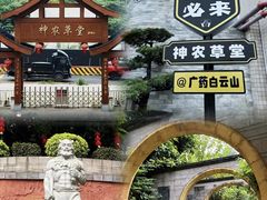 -广州神农草堂中医药博物馆