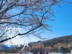 -妙峰山风景名胜区