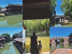 -乌镇东栅景区