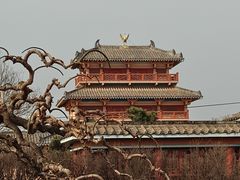 -洛阳古墓博物馆