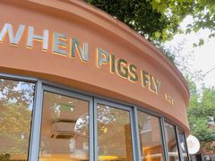 -WHEN PIGS FLY当猪飞