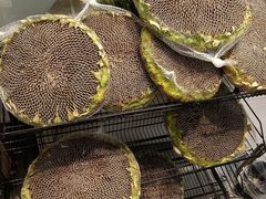 -盒马鲜生(首义店)