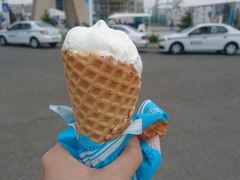 -霍尔果斯国门景区