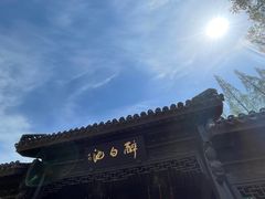 -上海醉白池公园