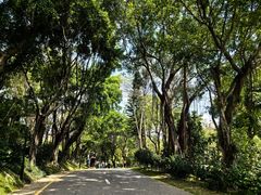 -深圳国际园林花卉博览园