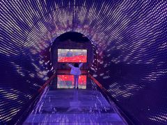 -正佳自然科学博物馆