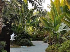 -碧桂园润杨溪谷温泉酒店