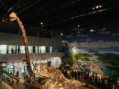 -自贡恐龙博物馆