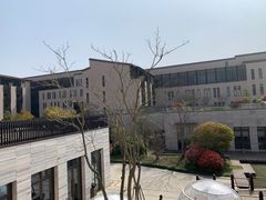 -上海崇明金茂凯悦酒店