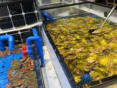 -川骄海鲜自助(河东店)