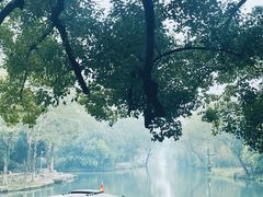 -西溪国家湿地公园