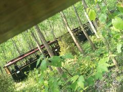 -合肥滨湖国家森林公园