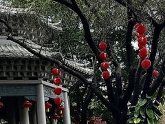 -荔湾湖公园