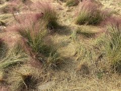 -映月湖中央公园
