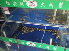 -阳澄湖大闸蟹·琼灵阁牌品牌连锁(吴中总店)