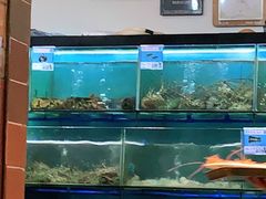 水产区-南海渔家•海鲜•正宗海南菜(海棠湾店)