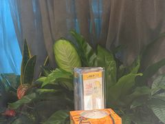 -润园四季椰子鸡火锅(卓越INTOWN店)