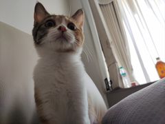 -宠颐生汉谟拉比宠物医院