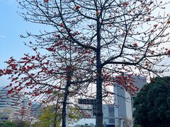 -宝能国际体育演艺中心