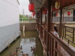 -菜根香土菜馆(文昌东路店)