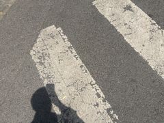 -朱大嘴肥肠血旺(福字街店)