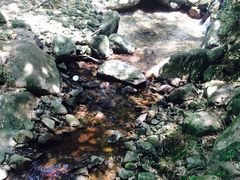 -会稽山峡洞漂流-上青古道