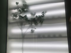 -36cake生日蛋糕(福田店)