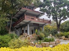 -上海市保健医疗中心