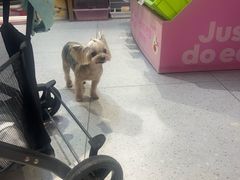 -FAELING PETS美天灵宠物(富力广场店)